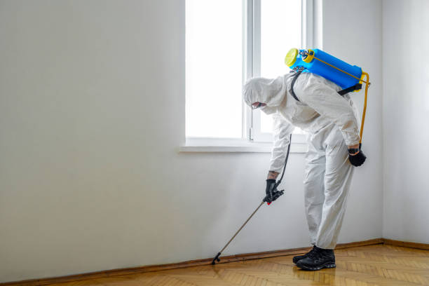 Best Residential Pest Control  in Jacksonville, NC