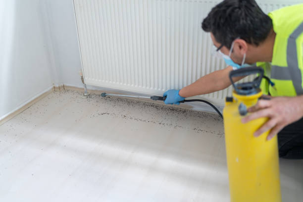 Best Emergency Pest Control  in Jacksonville, NC